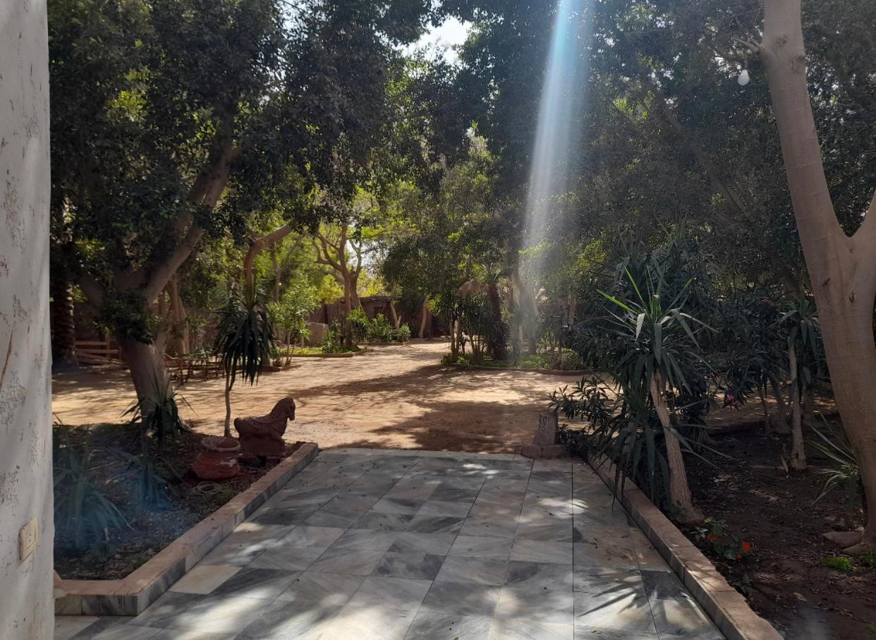 Villa By The Pyramids Caïro Buitenkant foto