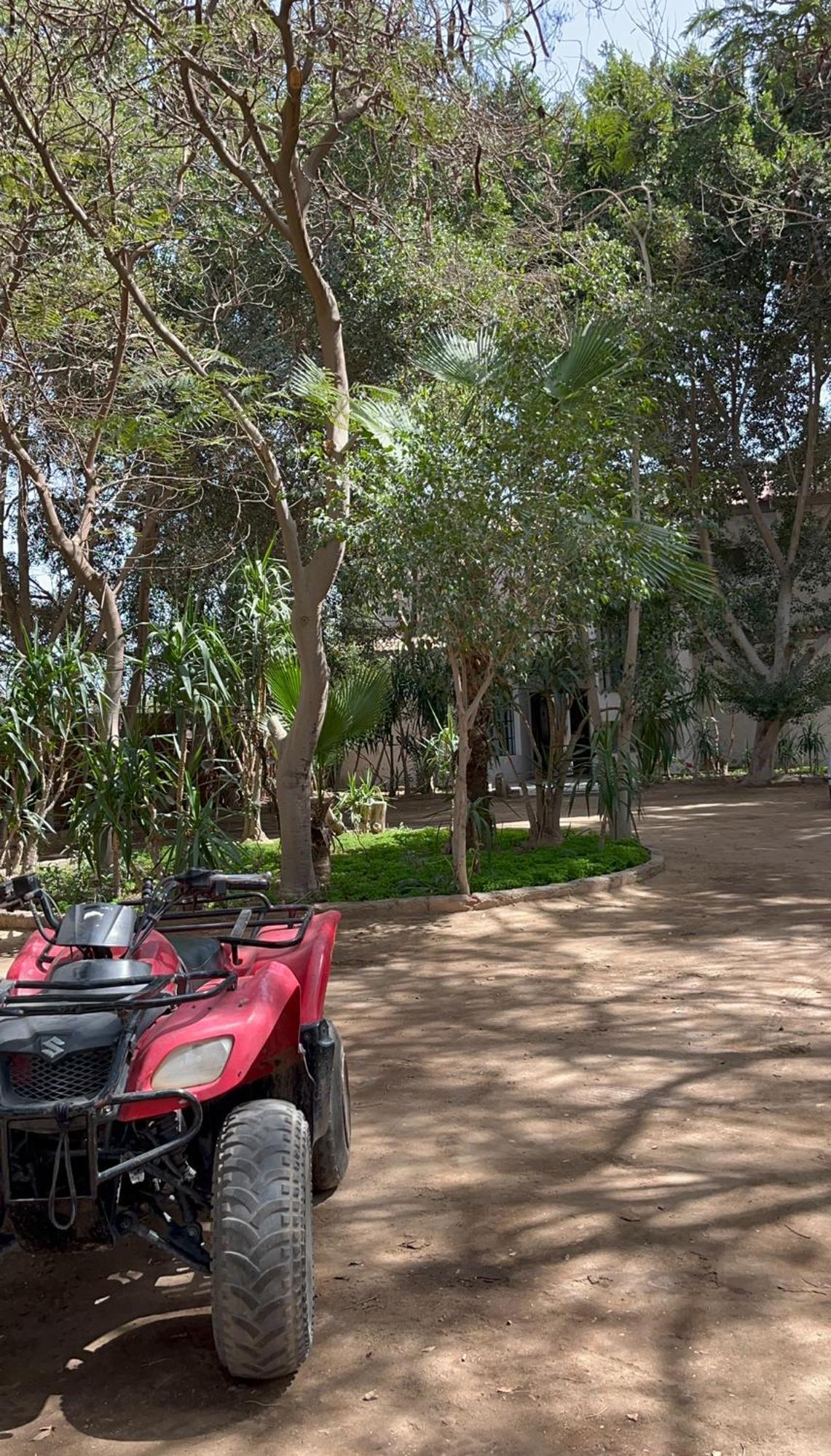 Villa By The Pyramids Caïro Buitenkant foto