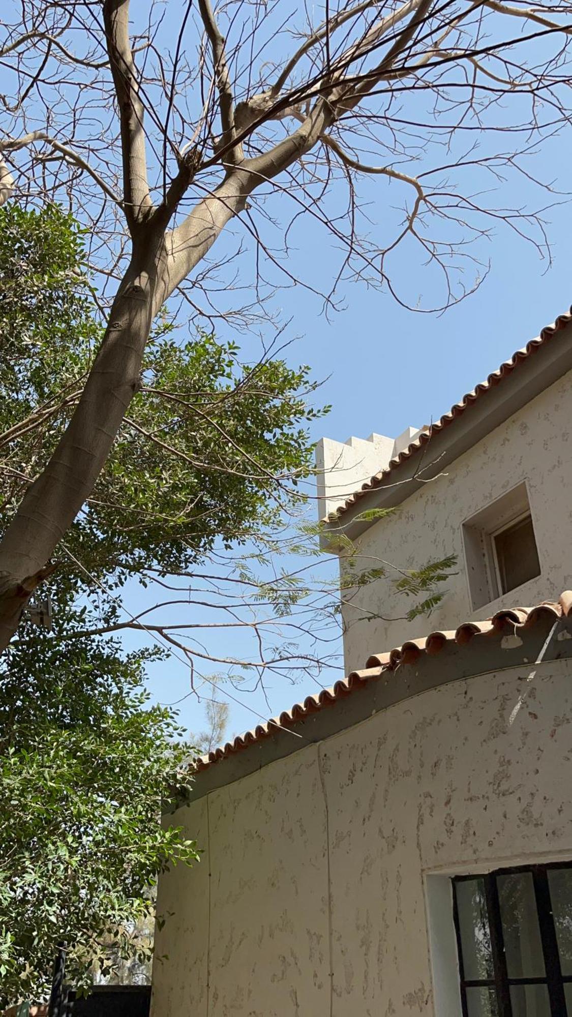 Villa By The Pyramids Caïro Buitenkant foto